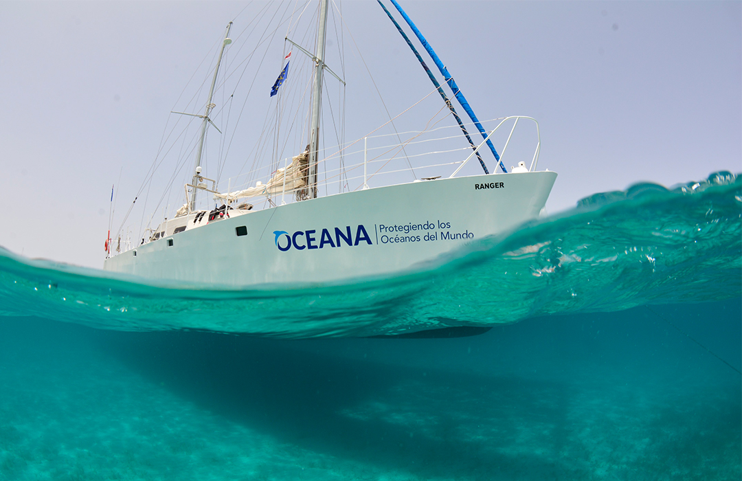 Blancpain y Oceana anuncian alianza para proteger los océanos