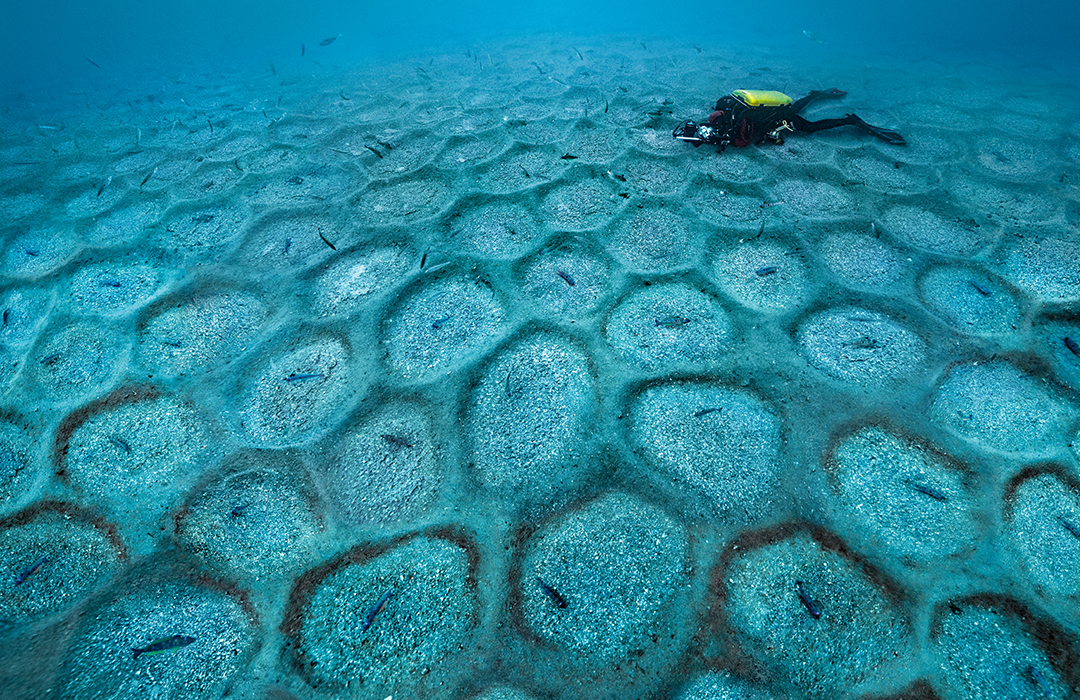 Blancpain apoya misión de Laurent Ballesta y Andromède Océanologie